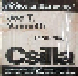 Joe T. Vannelli Feat. Csilla: Voice In Harmony (2-12") - Bild 1