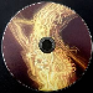 Sepultura: Arise Rough Mixes (CD) - Bild 3
