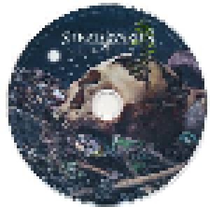 Stratovarius: Survive (CD) - Bild 7