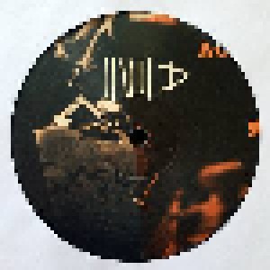 Fink: IIUII (2-LP) - Bild 7