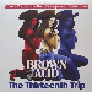 Cover - Gary Del Vecchio: Brown Acid: The Thirteenth Trip (Heavy Rock From The Underground Comedown)