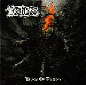 Fleshless: Kingdom Of The Liars (CD) - Bild 1