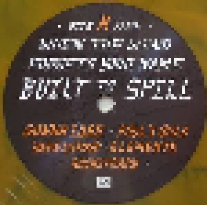Built To Spill: When The Wind Forgets Your Name (LP) - Bild 5