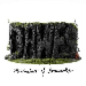 Dawes: Misadventures Of Doomscoller (CD) - Bild 1