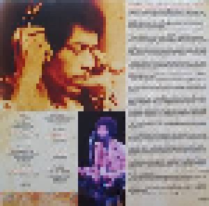 Jimi Hendrix: Burning Desire (2-LP) - Bild 6