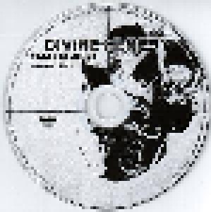 Divine Heresy: Failed Creation - Club/Radio Sampler (Promo-Single-CD) - Bild 3