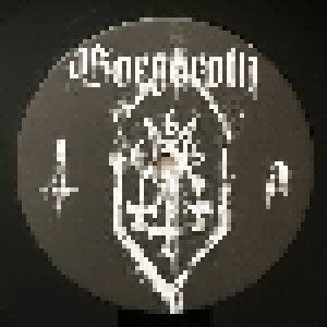 Gorgoroth: Antichrist (12") - Bild 3