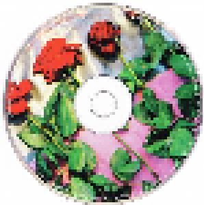 Nikki Sudden: Red Brocade (CD) - Bild 3