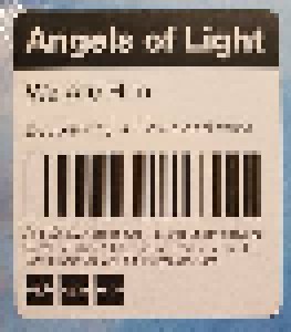 Angels Of Light: We Are Him (2-LP) - Bild 3