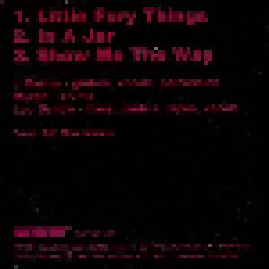 Dinosaur Jr.: Little Fury Things (3"-CD) - Bild 2