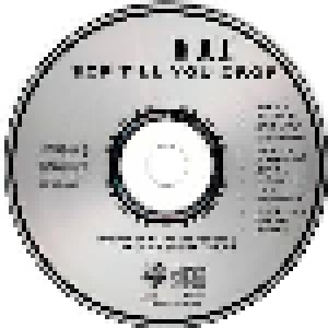 Ry Cooder: Bop Till You Drop (CD) - Bild 3