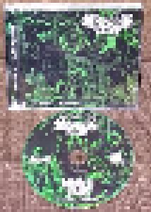 Cryptic Brood + Night Hag: Swollen With Rancid Phlegm (Split-CD) - Bild 2