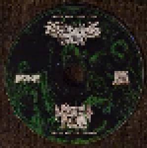 Cryptic Brood + Night Hag: Swollen With Rancid Phlegm (Split-CD) - Bild 3