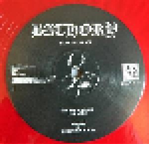 Bathory: Blood On Ice (2-LP) - Bild 5
