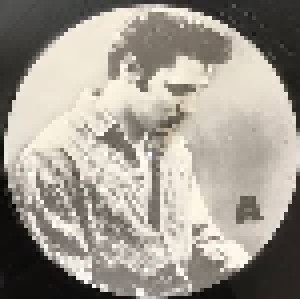 Elvis Presley: Homerecorded (LP) - Bild 3
