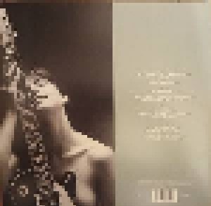 Al Di Meola: Kiss My Axe (2-LP) - Bild 2