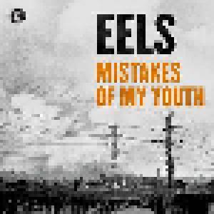 Eels: Mistakes Of My Youth - Cover