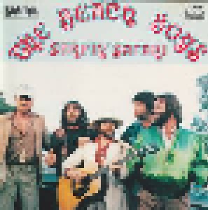 The Beach Boys: Surfin' Safari (CD) - Bild 1