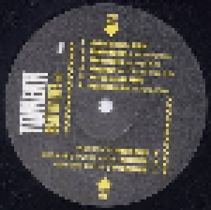DJ Tomekk: Beat Of Life Vol. 1 (2-LP) - Bild 1