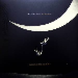 Tedeschi Trucks Band: I Am The Moon: III. The Fall (LP) - Bild 1