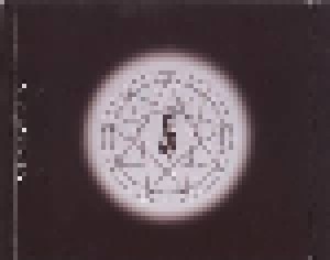 Slipknot: Disasterpieces (2-VCD) - Bild 5