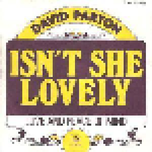 David Parton: Isn't She Lovely - Cover