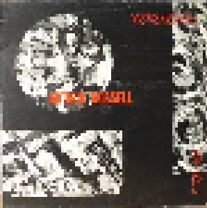 Cover - Arthur Russell: Instrumentals, 1974 - Vol. 2