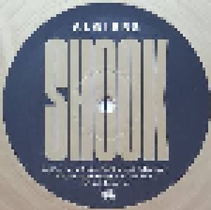 Algiers: Shook (2-LP) - Bild 4
