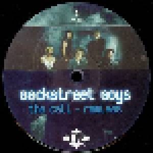 Backstreet Boys: The Call (12") - Bild 1