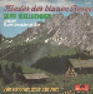 Cover - Sepp Viellechner & Der Tiroler Bergsteiger-Chor: Kinder Der Blauen Berge