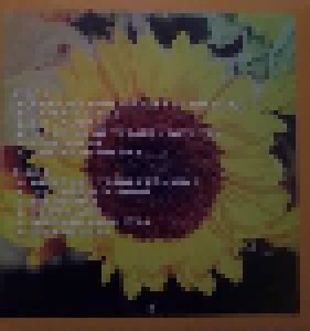 The Bangles: Sweetheart Of The Sun (LP) - Bild 2