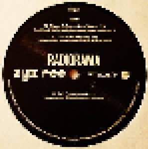 Radiorama: Greatest Hits & Remixes Vol. 2 (LP) - Bild 4