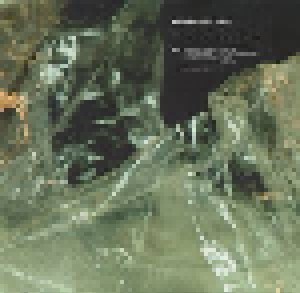 Mudhoney: Plastic Eternity (LP) - Bild 3