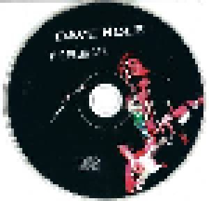 Dave Hole: The Plumber (CD) - Bild 3