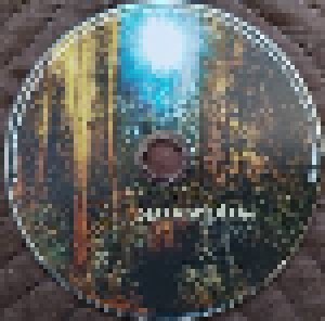 Amorphis: Skyforger (CD) - Bild 2