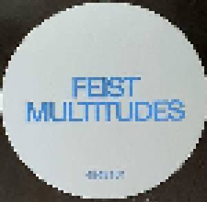 Feist: Multitudes (LP) - Bild 5