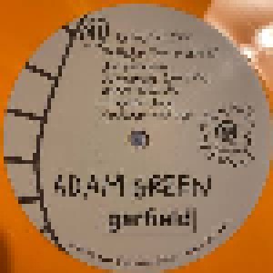 Adam Green: Garfield (2-LP) - Bild 4