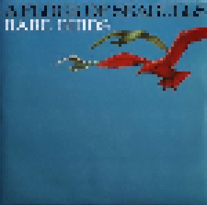 A Flock Of Seagulls: Rare Birds (LP) - Bild 8