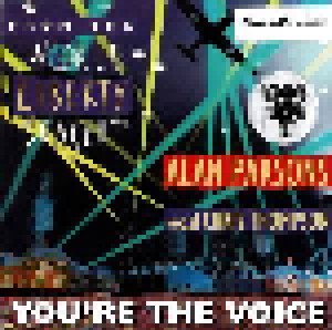 Alan Parsons: You're The Voice (7") - Bild 1