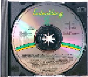 Erdenklag Musik Vol. III - First Decade 1982 - 1992 (CD) - Bild 3