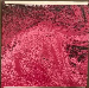 Cover - David Toop: Pink Spirit, Noir World