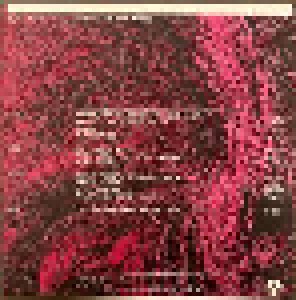 David Toop: Pink Spirit, Noir World (2-LP) - Bild 2