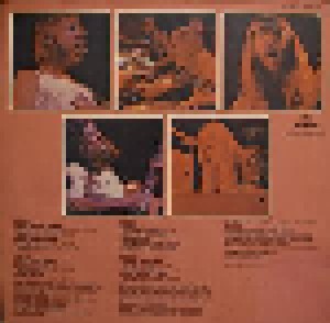The Allman Brothers Band: Beginnings (2-LP) - Bild 2