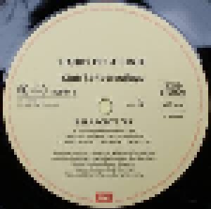 Harry Belafonte: Belafonte '89 (2-LP) - Bild 5