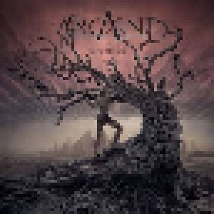 Arcaine: As Life Decays (CD) - Bild 1