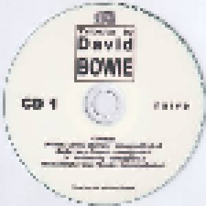 Tribute To David Bowie (2-Promo-CD-R) - Bild 5