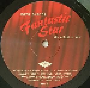 Marc Almond: Fantastic Star (The Artist's Cut) (2-LP) - Bild 5