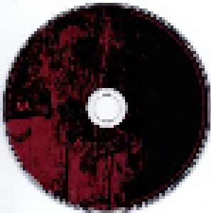 Swarrrm: こわれはじめる - Beginning To Break (CD) - Bild 3