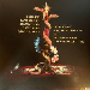 Queens Of The Stone Age: In Times New Roman (2-LP) - Bild 2