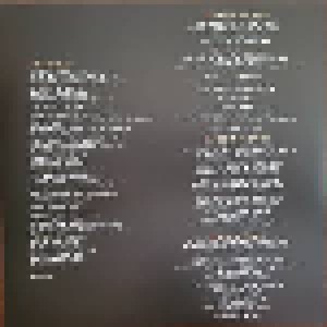 Queens Of The Stone Age: In Times New Roman... (2-LP) - Bild 5
